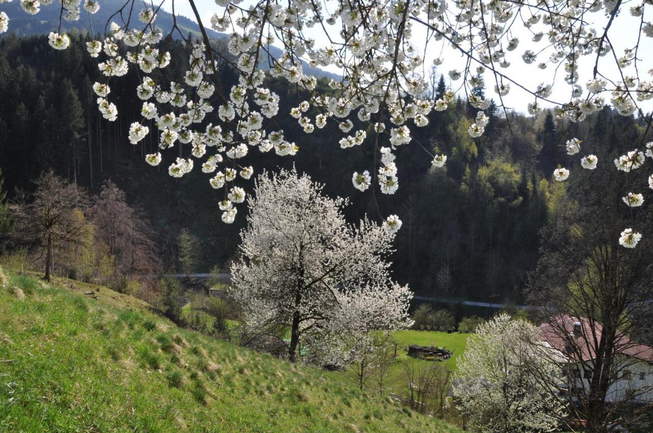 Gaestehaus Pension Edelweiss كولساس الغرفة الصورة